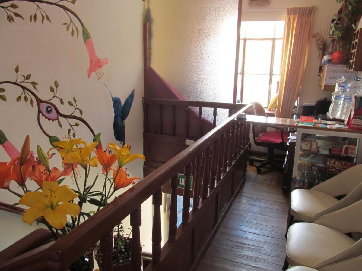 Mini-hôtel The New Paradise